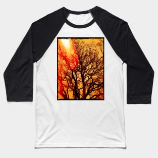 LAST LIGHT THROUGH THE TREES Baseball T-Shirt